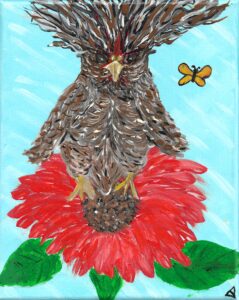 Chicken Hawk